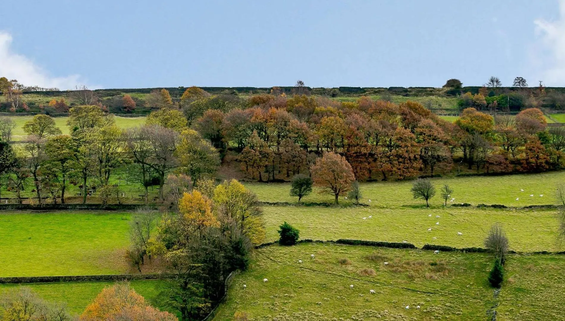 Hébergement de vacances Villa 4 Bed In Holmfirth 86032 Royaume-Uni